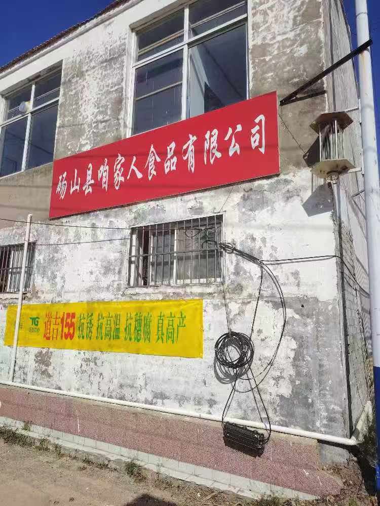 砀山县咱家人食品有限公的图标